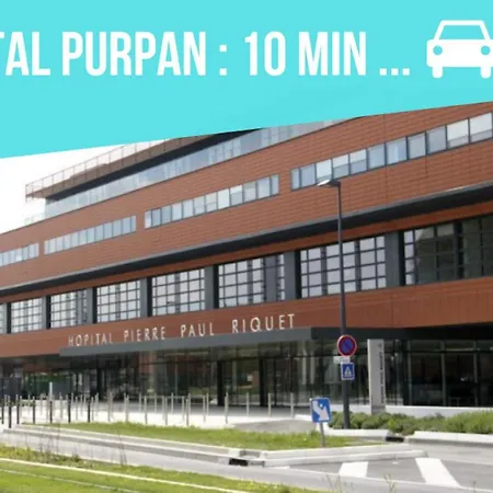 Cosy Confort - Climatisation, Balcon, Wifi - Proche Airbus, Purpan, Aeroport, Stade Ernest Wallon *